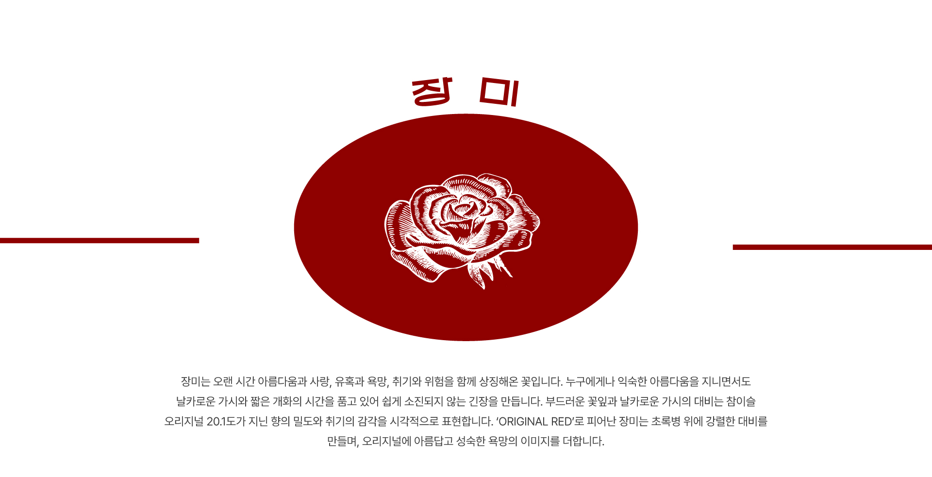 참이슬 오리지날 I BX Renewal (개인프로젝트) 9